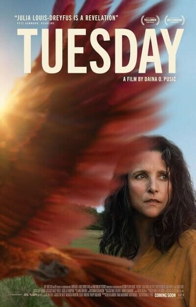 tuesday dvdscr|Tuesday movie review & film summary (2024) .